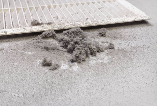 Best Affordable Air Duct Cleaning  in Wailua Homesteads, HI