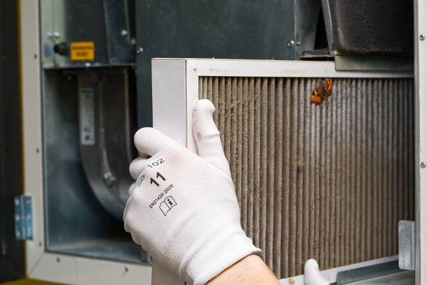 Best HVAC Duct Inspection Services  in Wailua Homesteads, HI