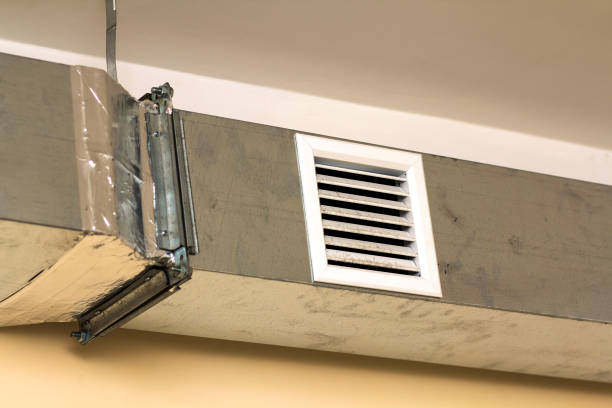 Best Affordable Duct Cleaning Services  in Wailua Homesteads, HI